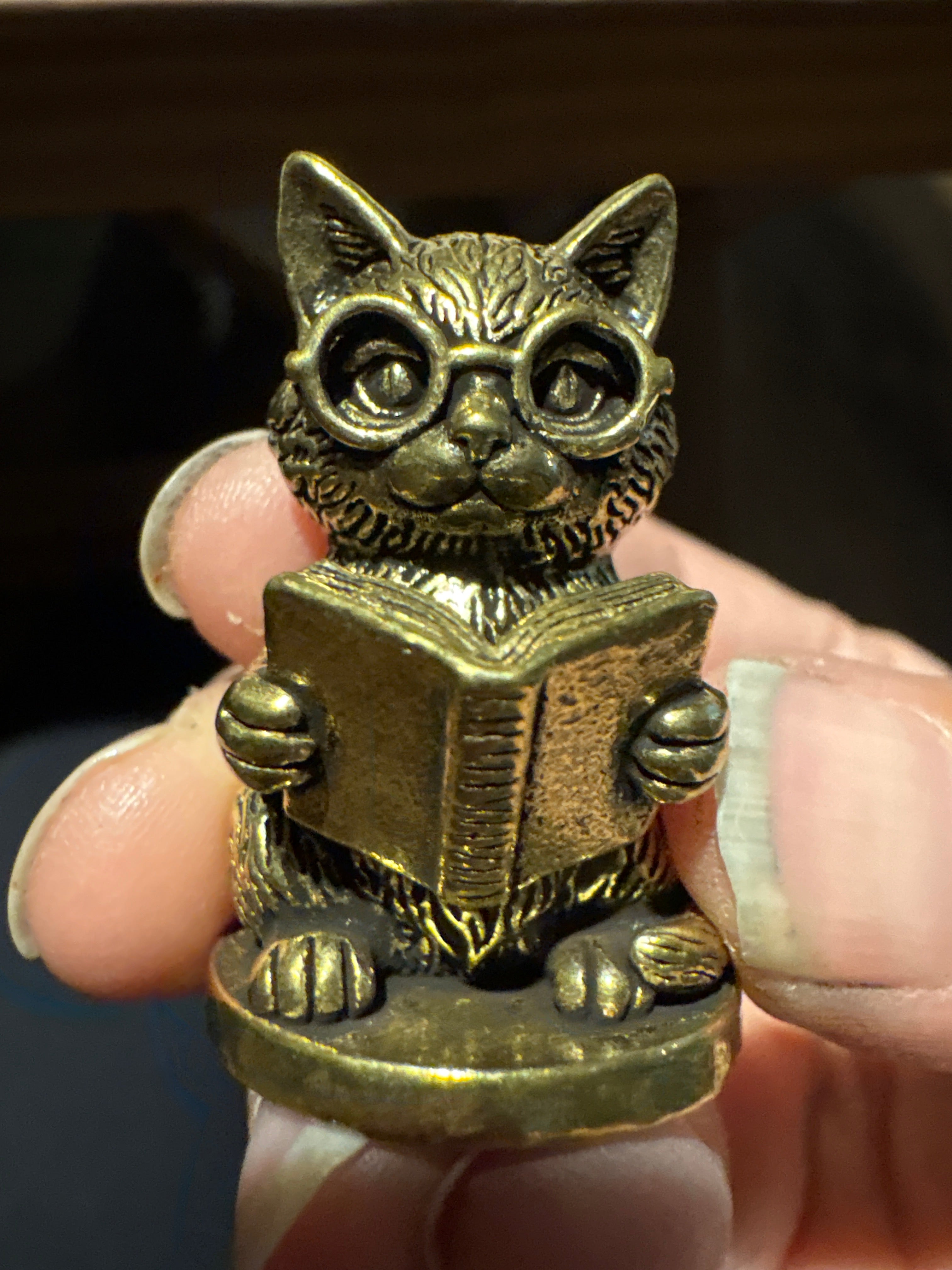 Brass reading cat
