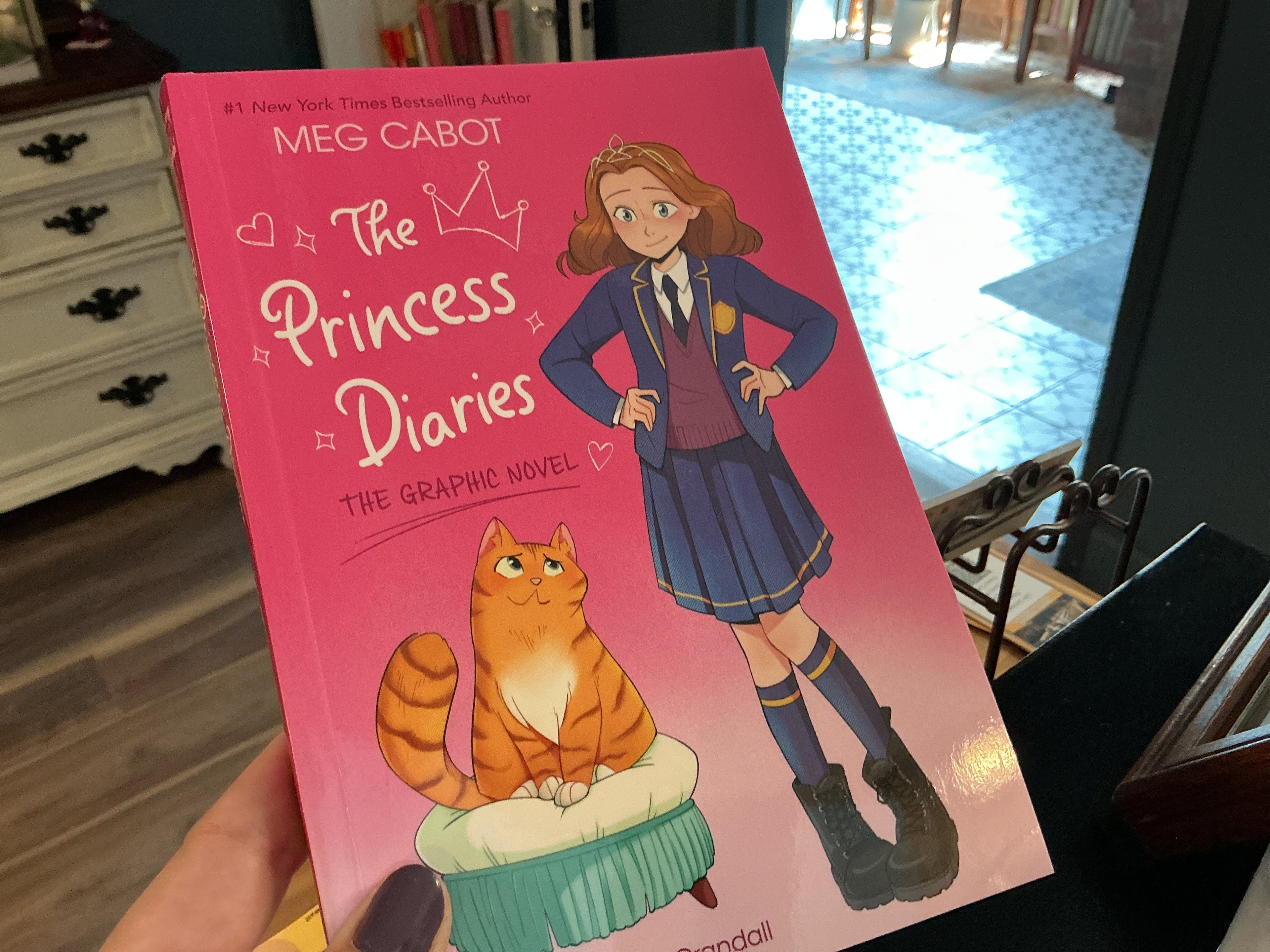 Princess Diaries graphic novel