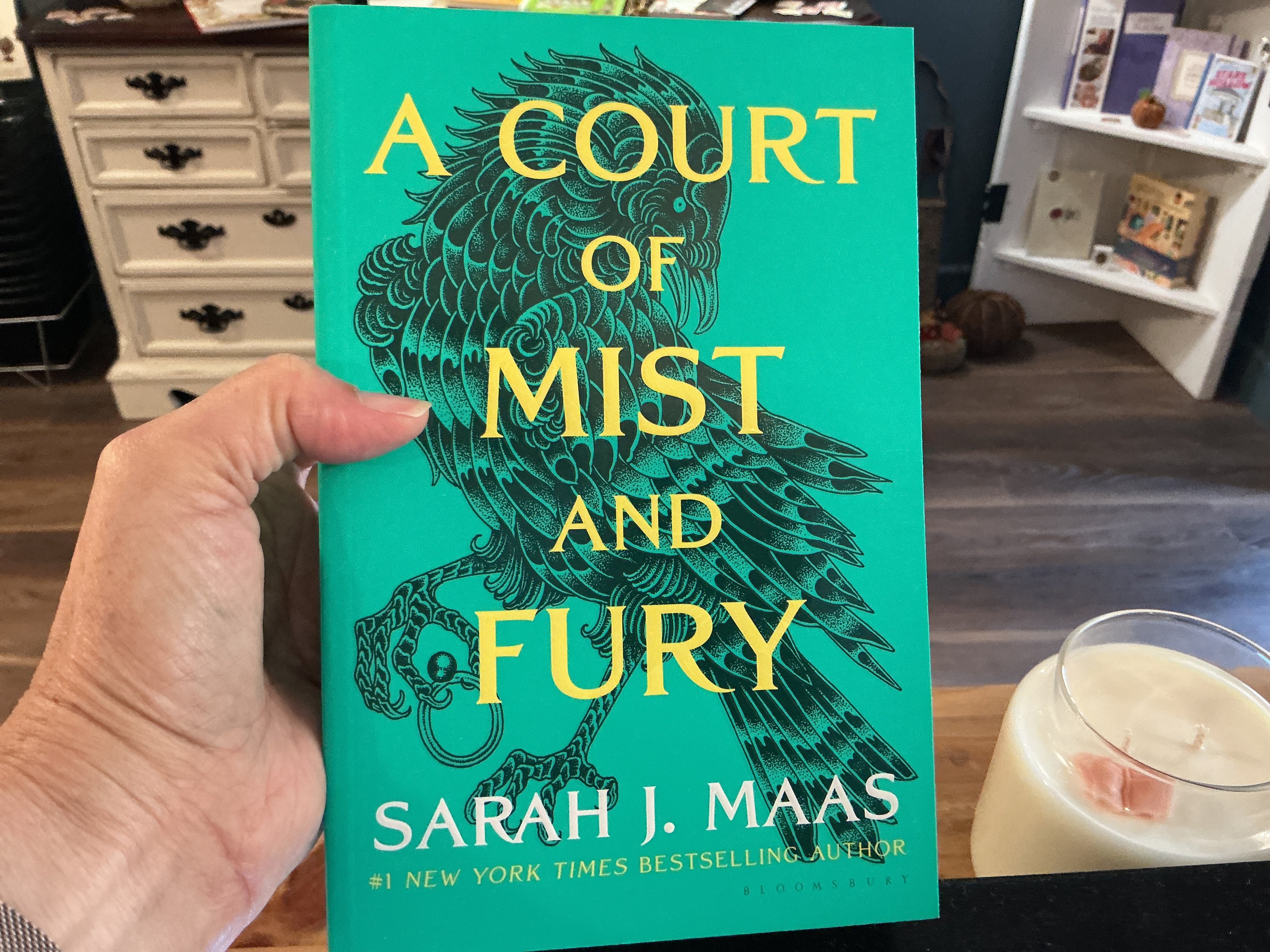 A court of mist and fury