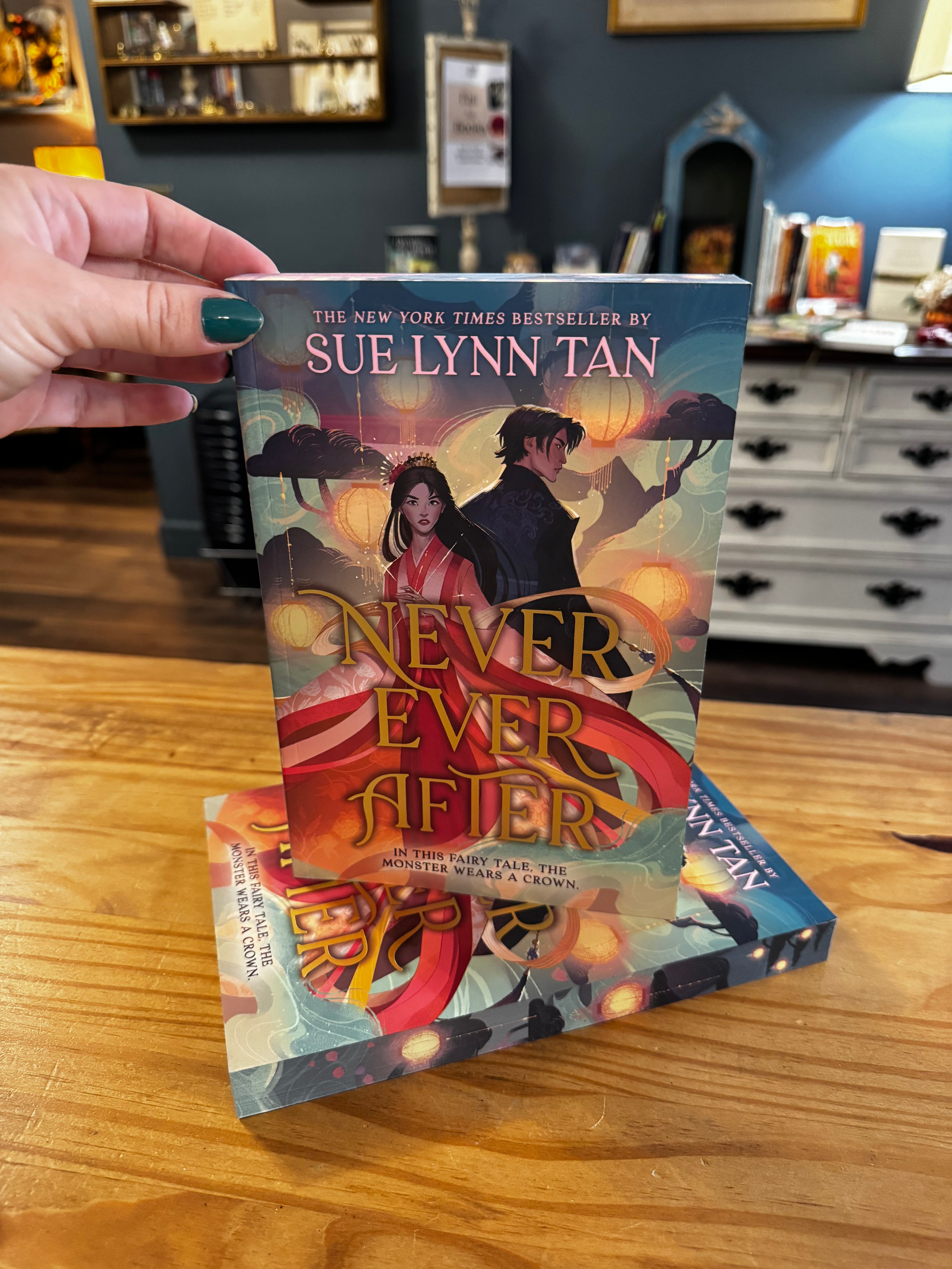 Never Ever After paperback